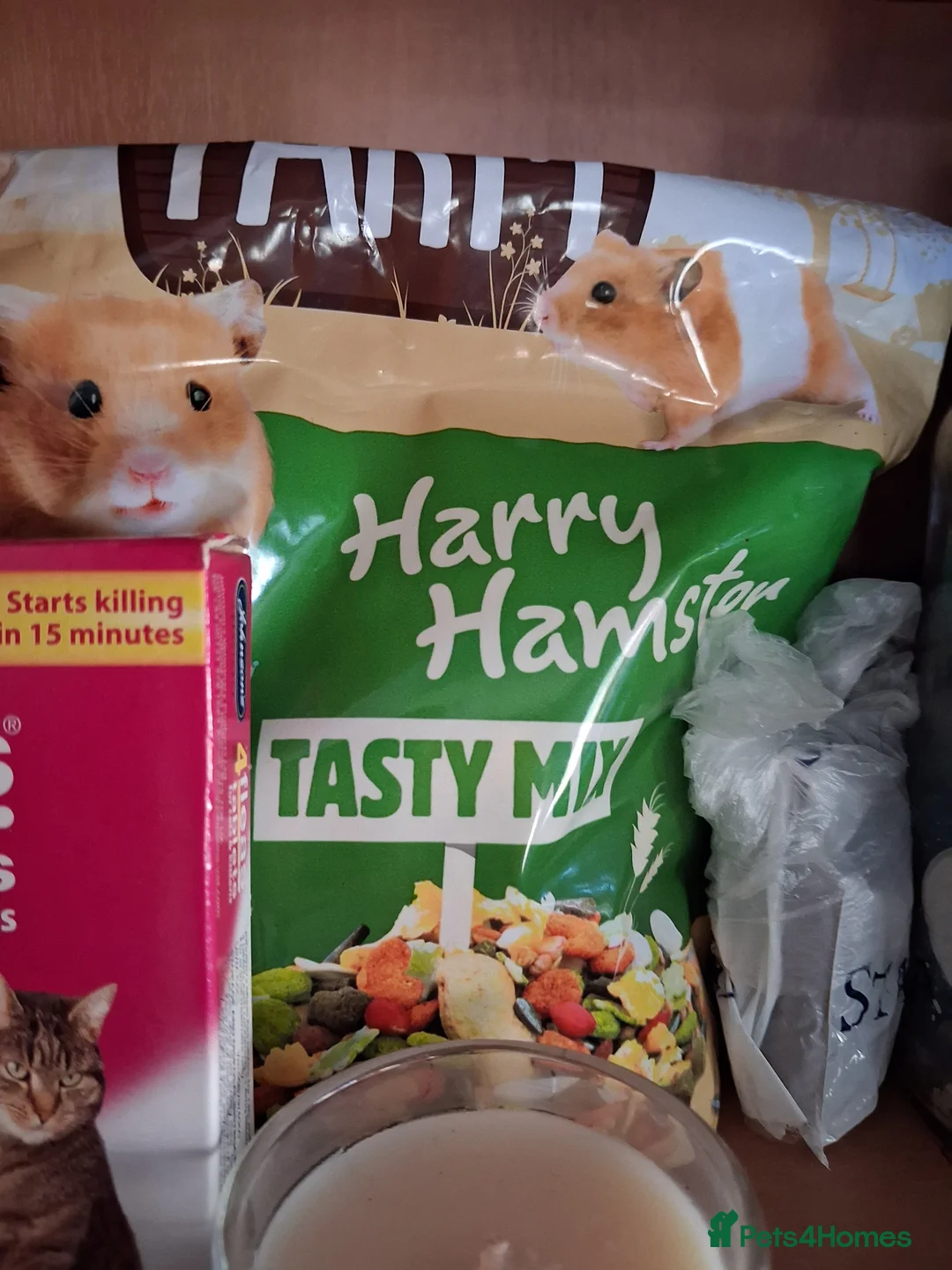 Hamster rodents for sale: Titch. Syrian Hamster. Cage, food and bedding too. - Advert 10