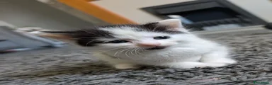 Boy 2
