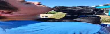 Puppy 2