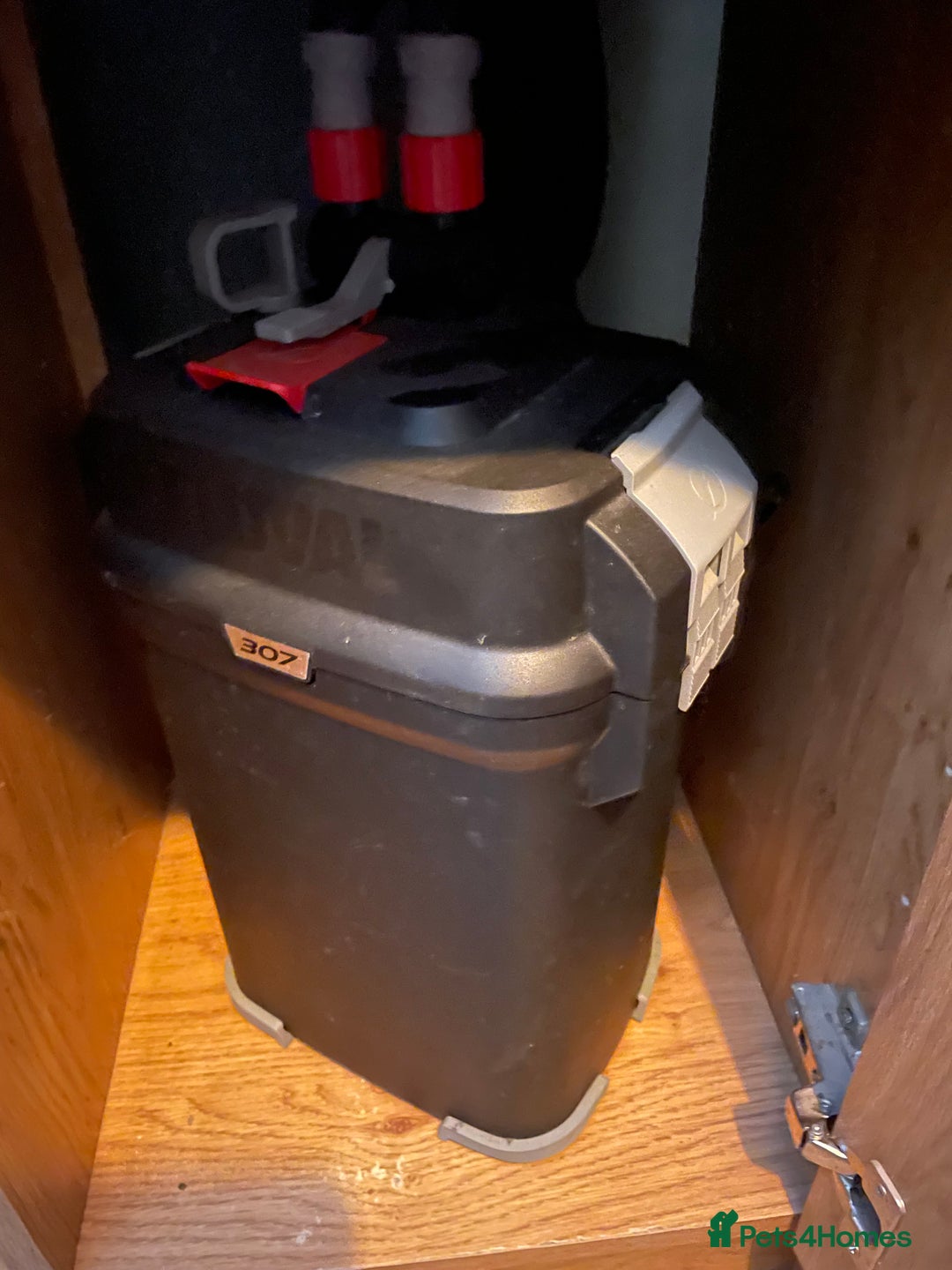 Loaches fish for sale: 4ft aquarium fish tank - Advert 13