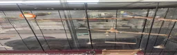 Budgerigars birds for sale: 4 budgirigards free to good home - Advert 3