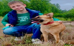 German Shepherd dogs for adoption: Zhulia: The Puppy Who Refused to Die - Image 2