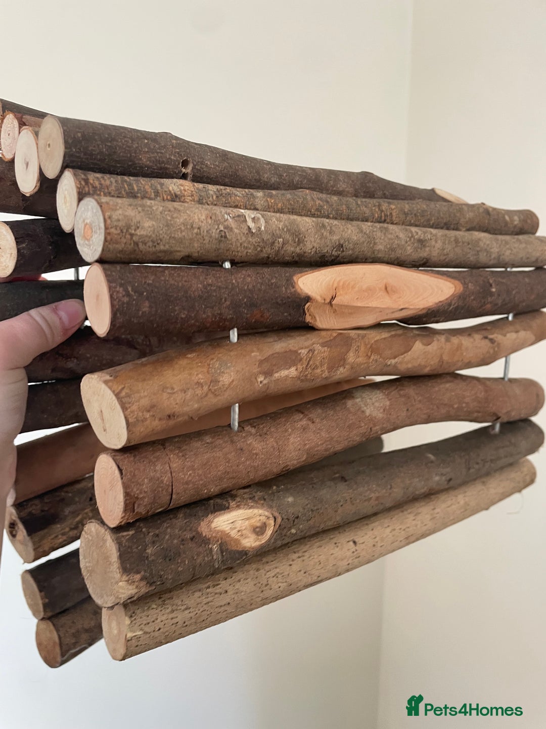 Guinea Pig rodents for sale: 3 male guinea pigs 8 months with everything includ - Advert 9