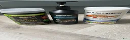 Terrapin reptiles for sale: 2x diamondback terrapins & juwel tank setup - Advert 10