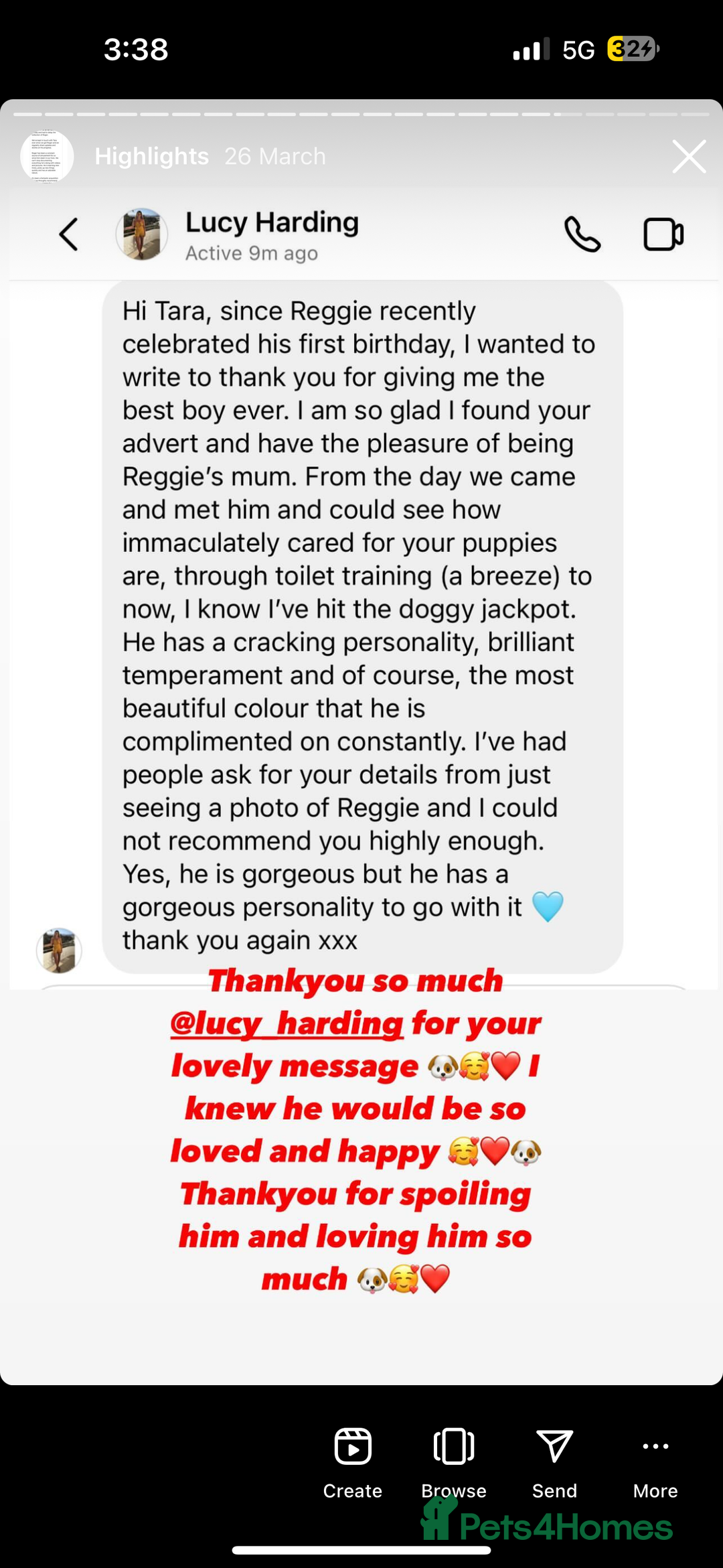 Cavapoo dogs for sale: Extensively Health Tested F1b Cavapoo Puppies  - Advert 22