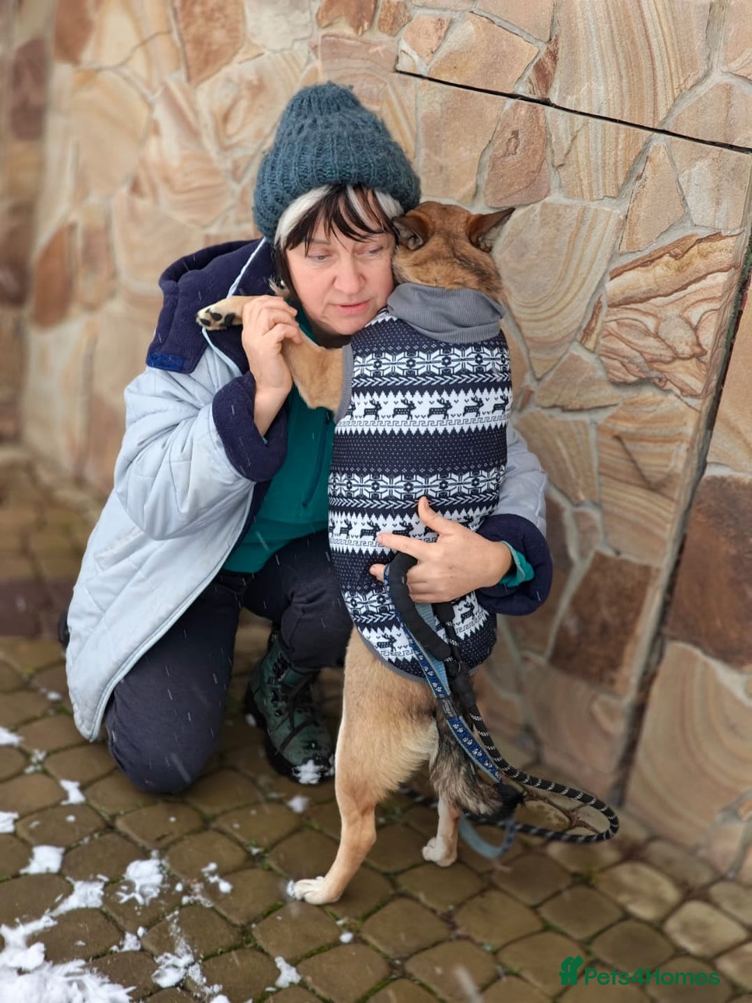 Mixed Breed dogs for adoption: ❤️TESSA – Soft and Gentle Puppy❤️ - Advert 19