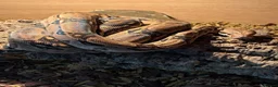 Boa Snake reptiles for sale: Male boa constrictor and 6ft enclosure in Sutton Coldfield - Advert 5