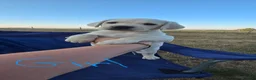 Labrador Retriever dogs for sale: White/golden Labrador Retriever Puppies - Advert 4