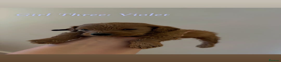 Girl Three: Violet