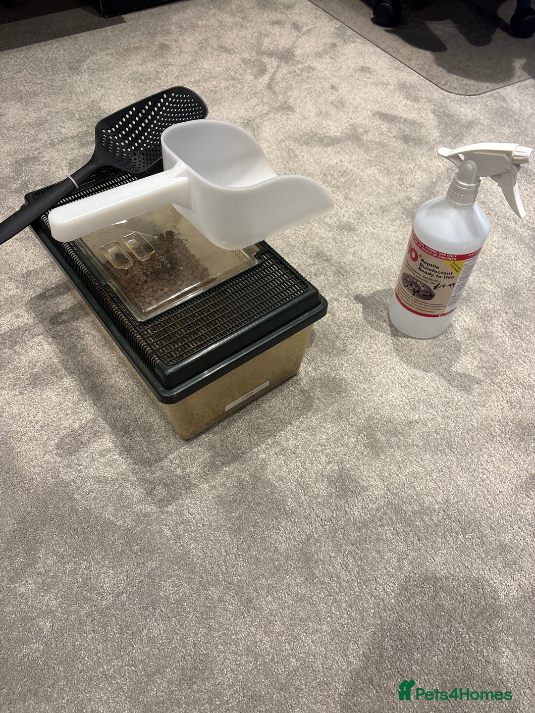 Bearded Dragon reptiles for sale: Drako - Bearded Dragon - Full Set / Kit - Image 5