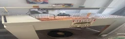 Tortoise reptiles for sale: Leopard tortoises and table plus lights  - Advert 2