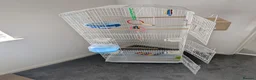 Mixed Breed birds for sale: Bird cage for sale. XXL BRAND NEW accessories Inc. in Dartford - Advert 13