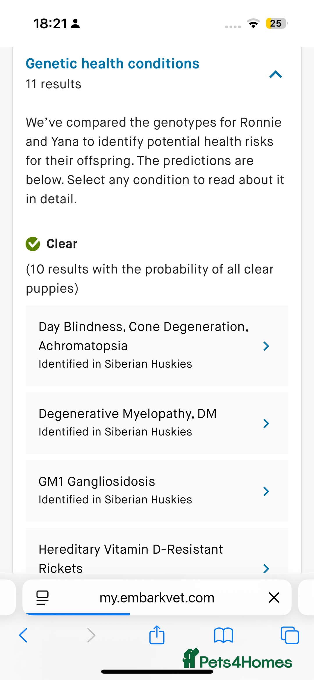 Pomsky dogs for sale: Lilac sired F2 masked Pomsky blue eyes  - Advert 16