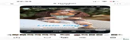 Cocker Spaniel dogs for sale: Stunning chocolate show cockers  - Advert 5