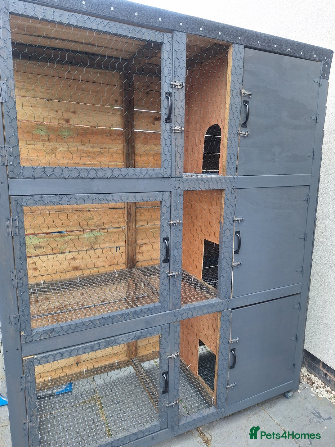 Mixed Breed rabbits for sale: New Zealand cross Californian rabbits Colony - Advert 16