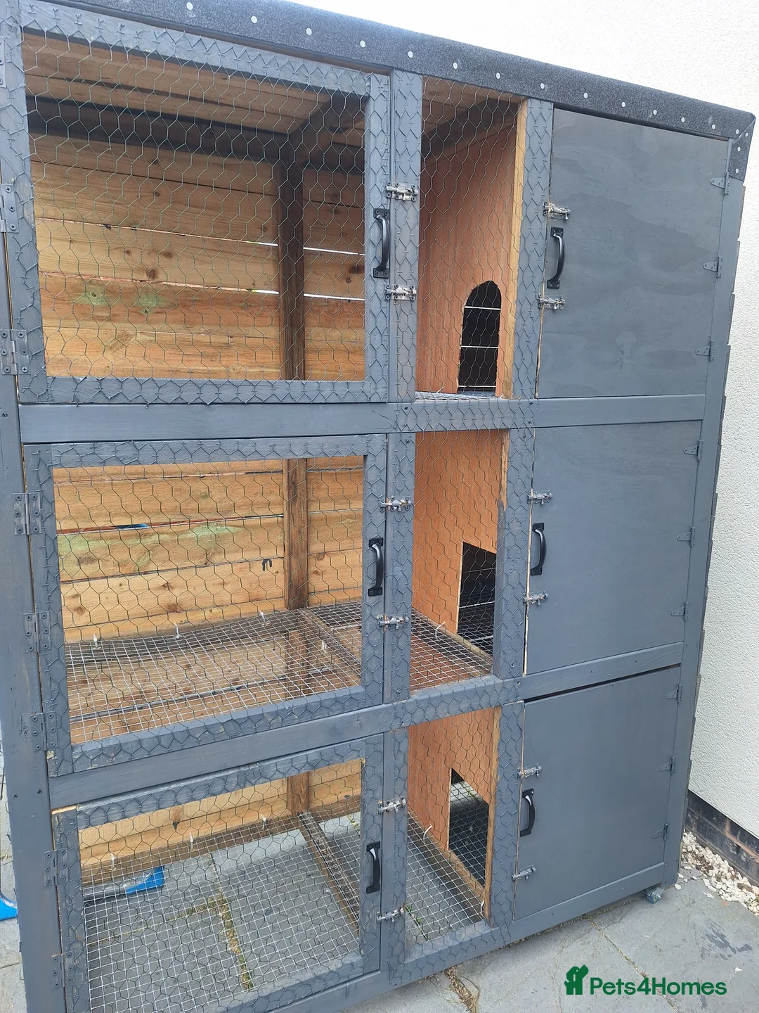 Mixed Breed rabbits for sale: New Zealand cross Californian rabbits Colony - Advert 16