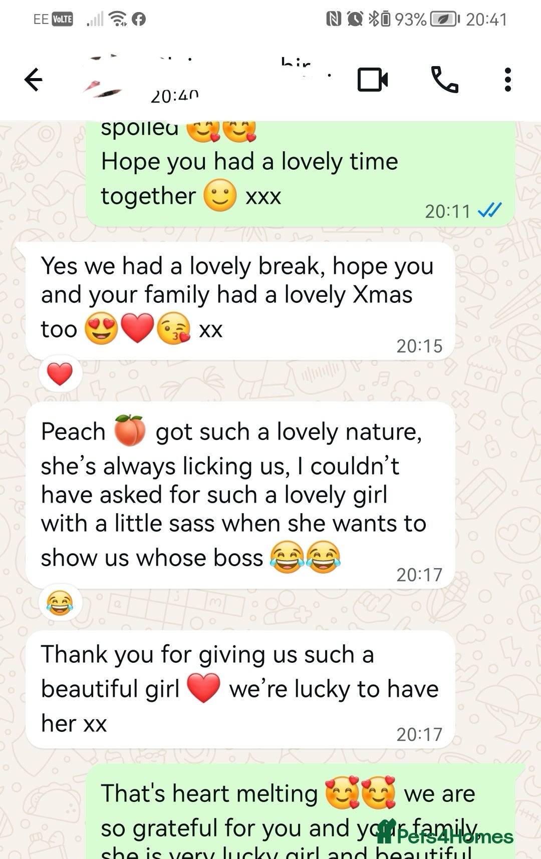 Maltipoo dogs for sale: DNA health tested maltipoo puppies  - Advert 15