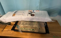 Finches birds for sale: I have 15 zebra finches for sale large cage  - Image 3