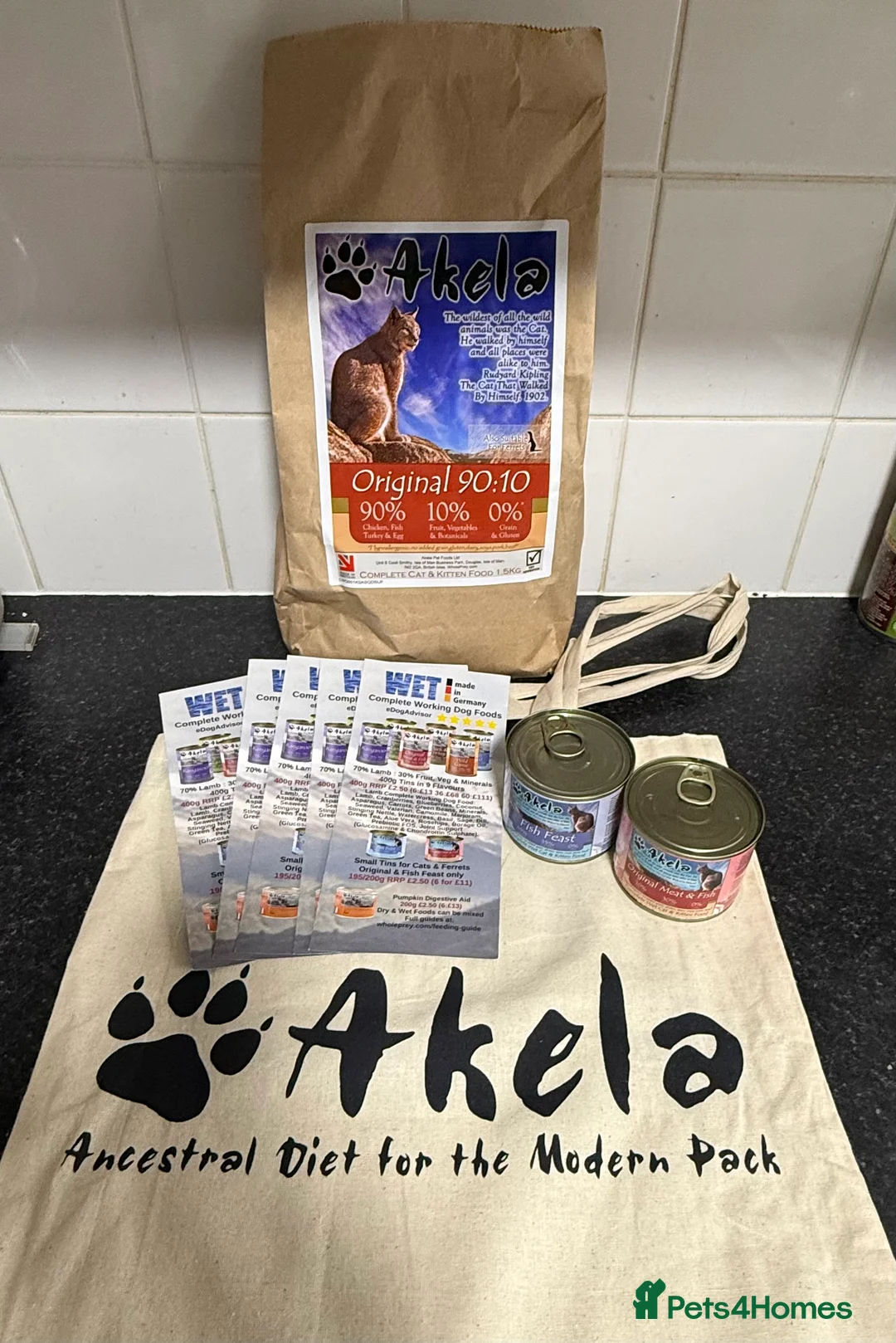 Maine Coon cats for sale: Black Smoke Maine Coon TICA Reg Ready April - Advert 2