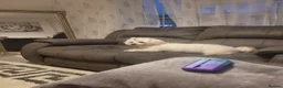 Bichon Frise dogs for sale: Gorgeous bishon pupy boy.  - Advert 1