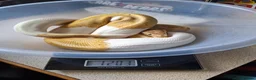 Python Snake reptiles for sale: Royal Python collection in Blackburn - Advert 14