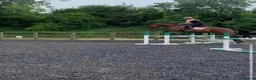 Cleveland Bay horses for sale: Jessica (Jessie) in Stoke-on-Trent - Advert 4
