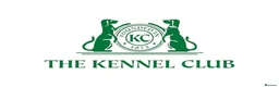 Pug dogs for sale: Kc pug puppies from a 5 star licensed breeder  - Advert 14