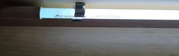 Bearded Dragon reptiles for sale: Bearded Dragon with Complete Vivarium Setup in Barnet - Advert 6