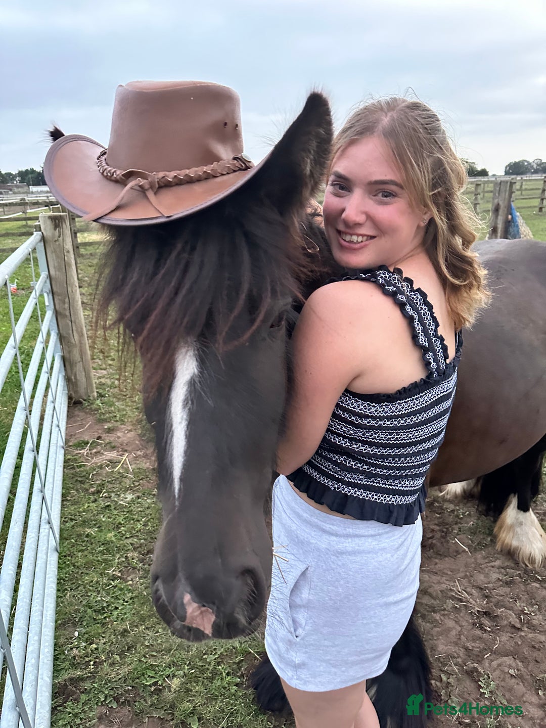 Irish Cob horses for sale: 13.1 Cob Mare - Your Child’s next Best Friend! 🩷 - Image 6