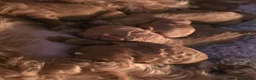 Cavapoo dogs for sale: Extensive health tested F1B Cavapoo puppies  - Advert 13