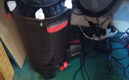 Other/Mixed Breed fish for sale: 5ft fish tank with fish - Image 5