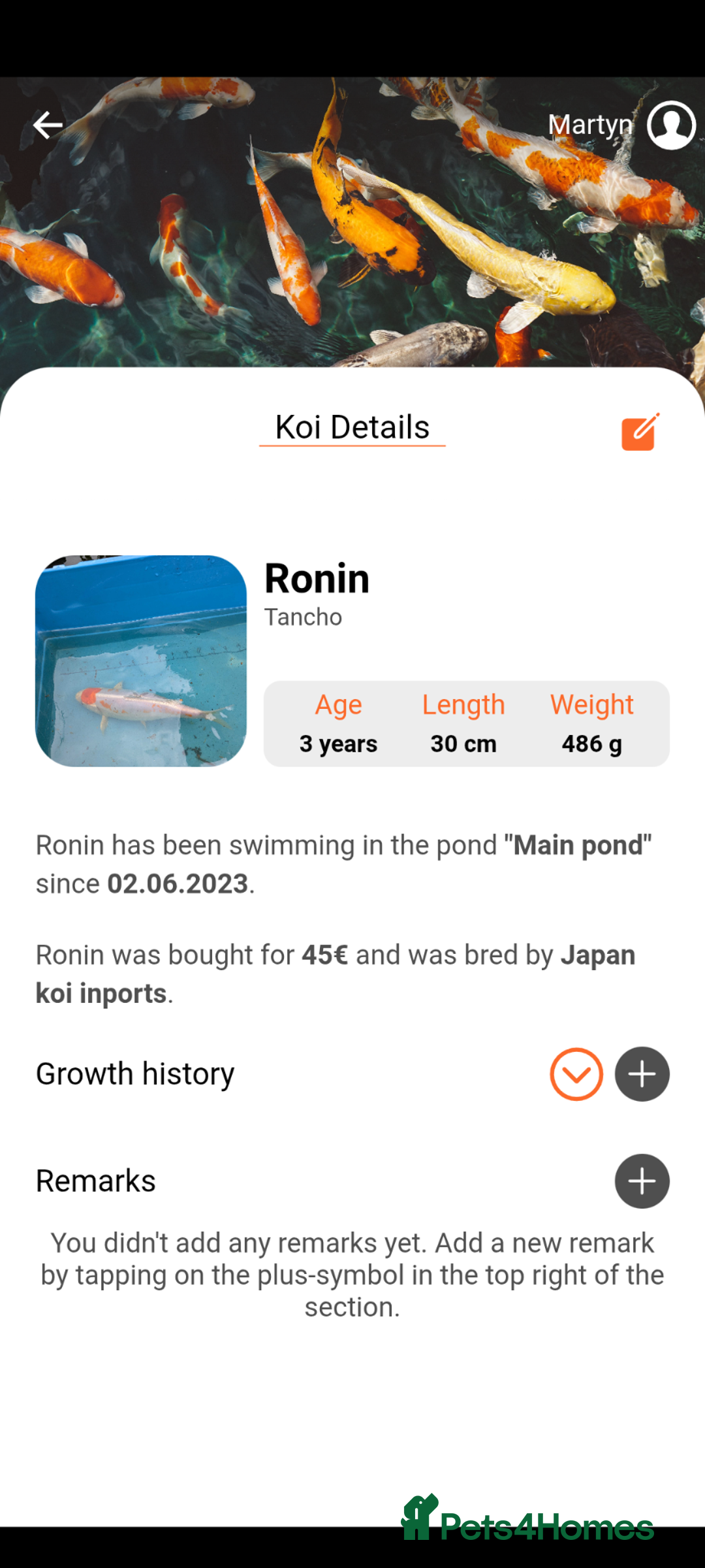 Koi Carp fish for sale: Tancho koi carp - Advert 1