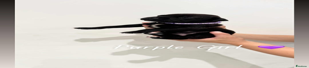 Purple girl 