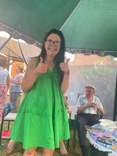 Gallery Image {{count}}