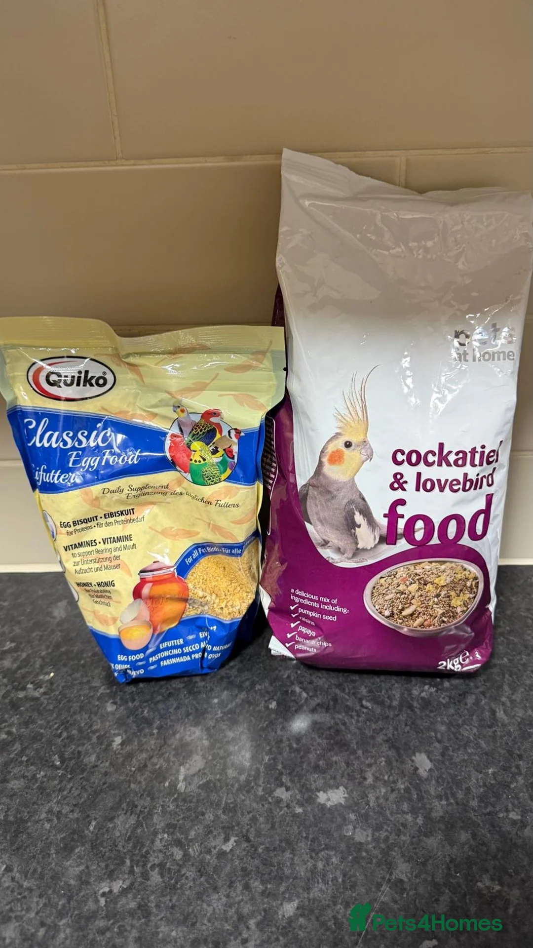 Cockatiels birds for sale: Beautiful Pair of Cockatiels for Sale  in Walsall - Advert 2