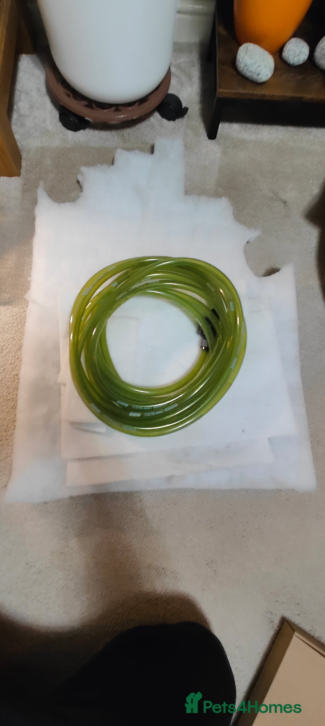 Other/Mixed Breed fish for sale: AquaOak 200 litre + Fish + accessories  - Advert 5