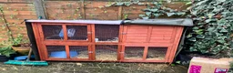 English Lop rabbits for sale: English Lop Bunny & Hutch for Sale - Advert 7