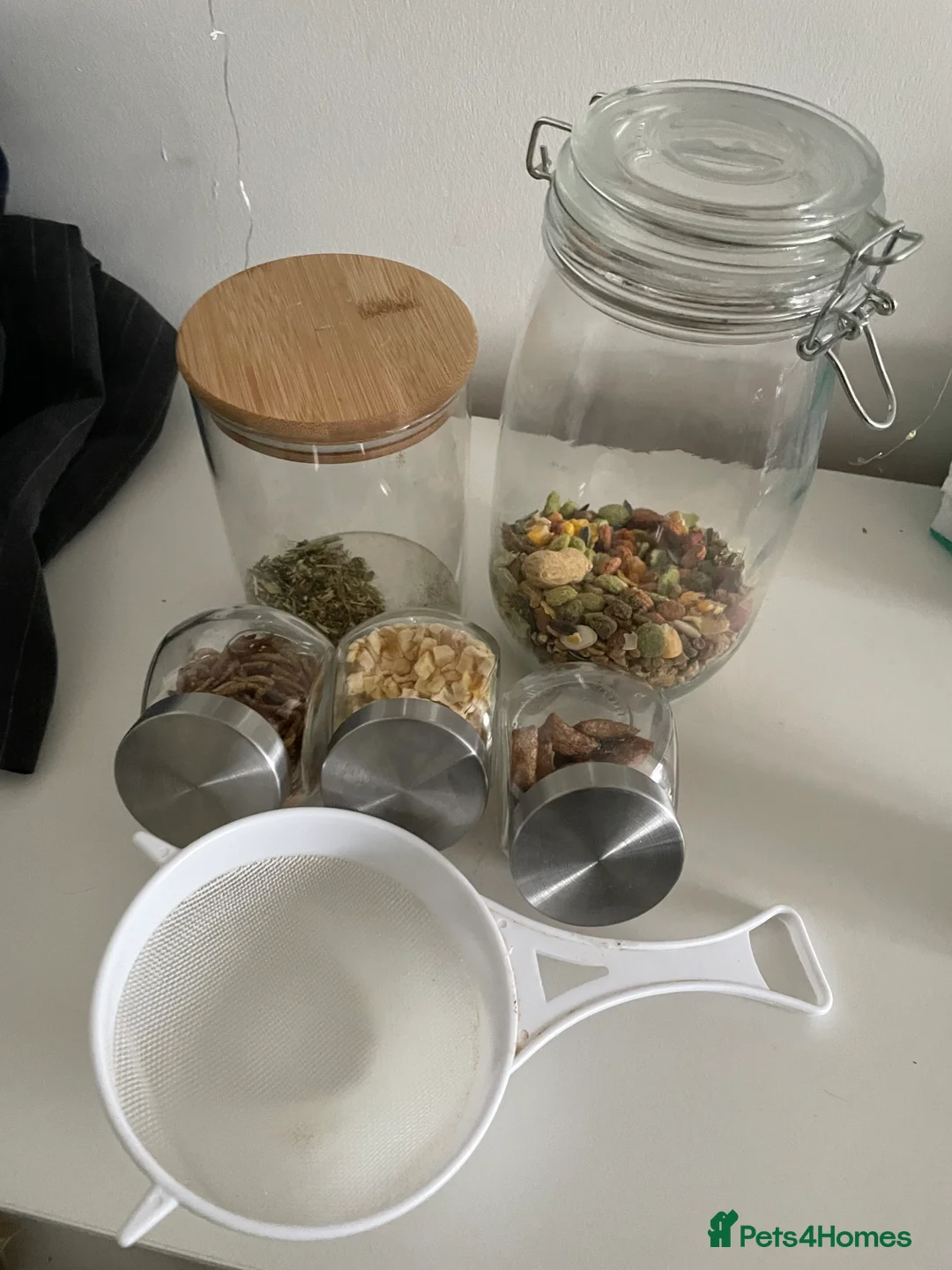 Hamster rodents for sale: female Syrian EVERYTHING INCLUDED in Nottingham - Advert 10