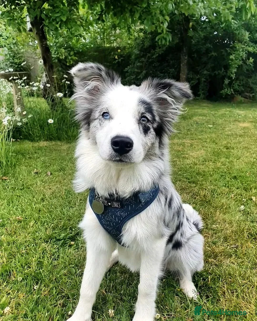 Gallery Image {{count}}