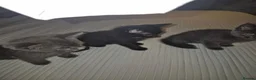 Mixed Breed cats for sale: 4 male kittens READY NOW - Advert 6