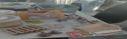 Budgerigars birds for sale: Cage, Birds, Food and Accessories in Bury - Advert 4