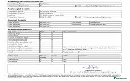 Labrador Retriever dogs for stud: 🌟Fully Health Tested Labrador at stud🌟 in Malmesbury - Image 3