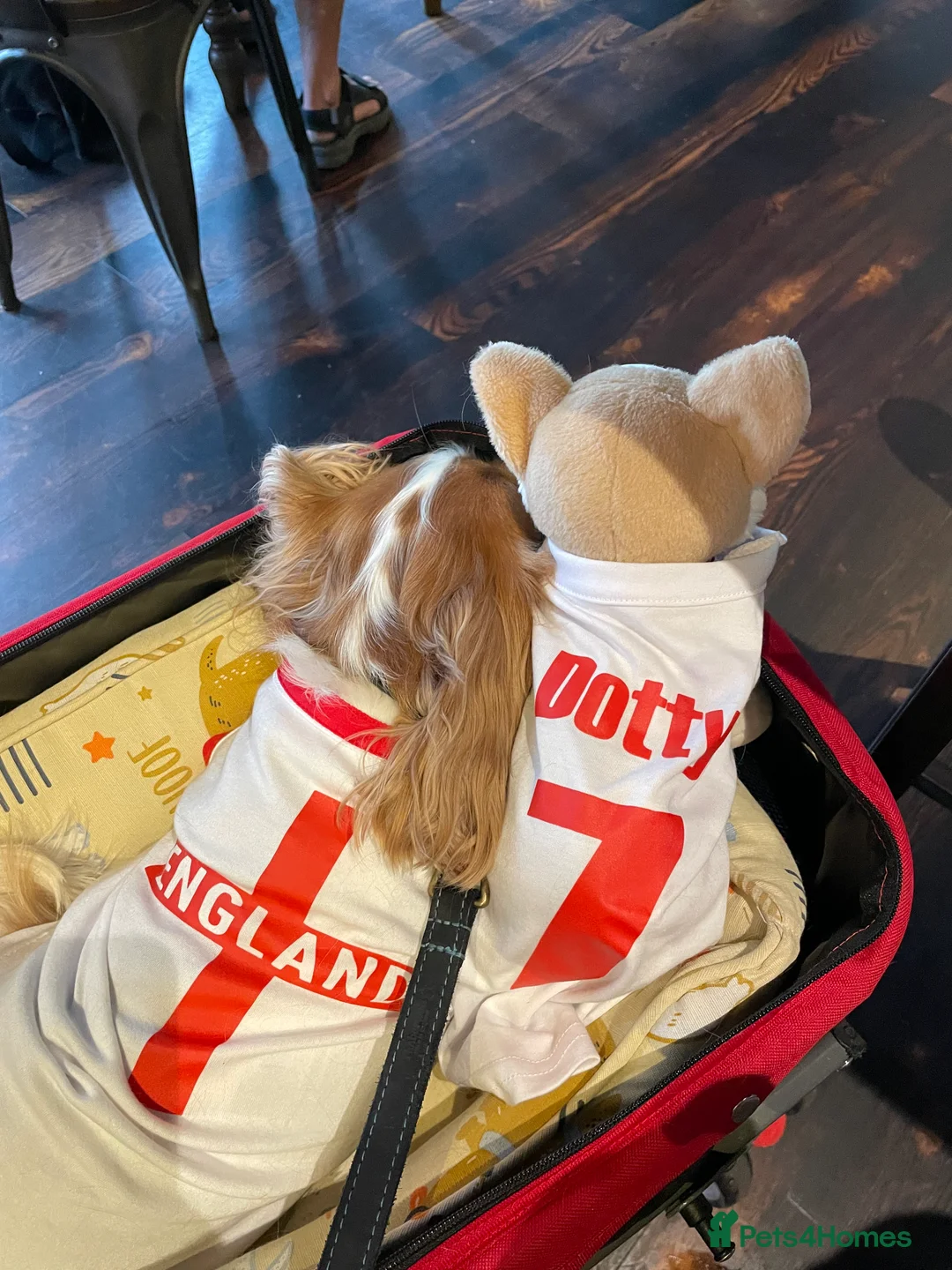 Gallery Image {{count}}