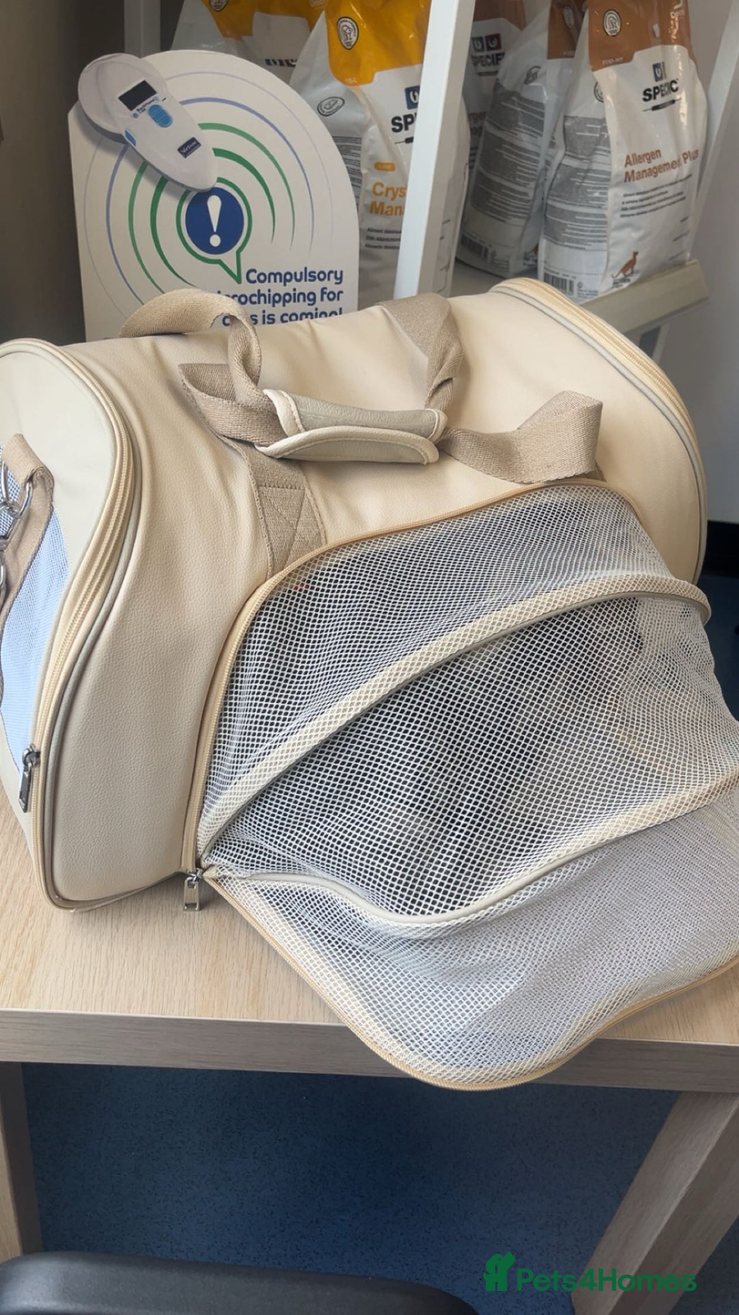 Bengal cats for sale: Bengal X Tabby kitten for sale - Image 5