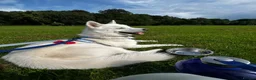 Siberian Husky dogs for sale: Siberian husky  in Blackburn - Advert 2