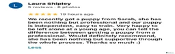 Cockapoo dogs for sale:      F1 Cockapoo Puppies  | Health Tested  - Advert 3