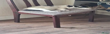 Tina
