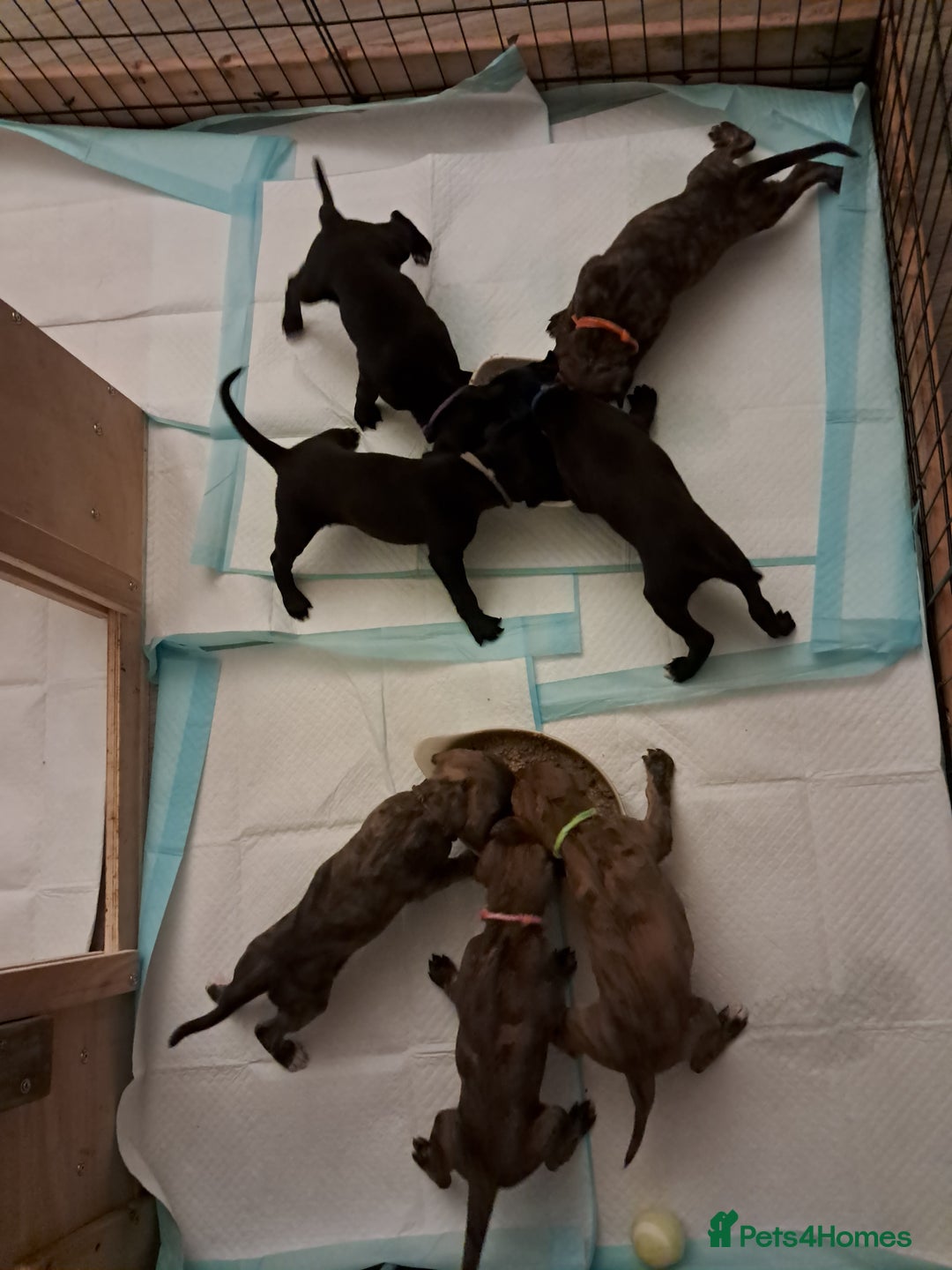 Gallery Image {{count}}