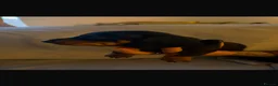 Miniature Dachshund dogs for sale: 6 Beautiful Miniature Dachshunds for Sale 🐾 ❤️ - Advert 8