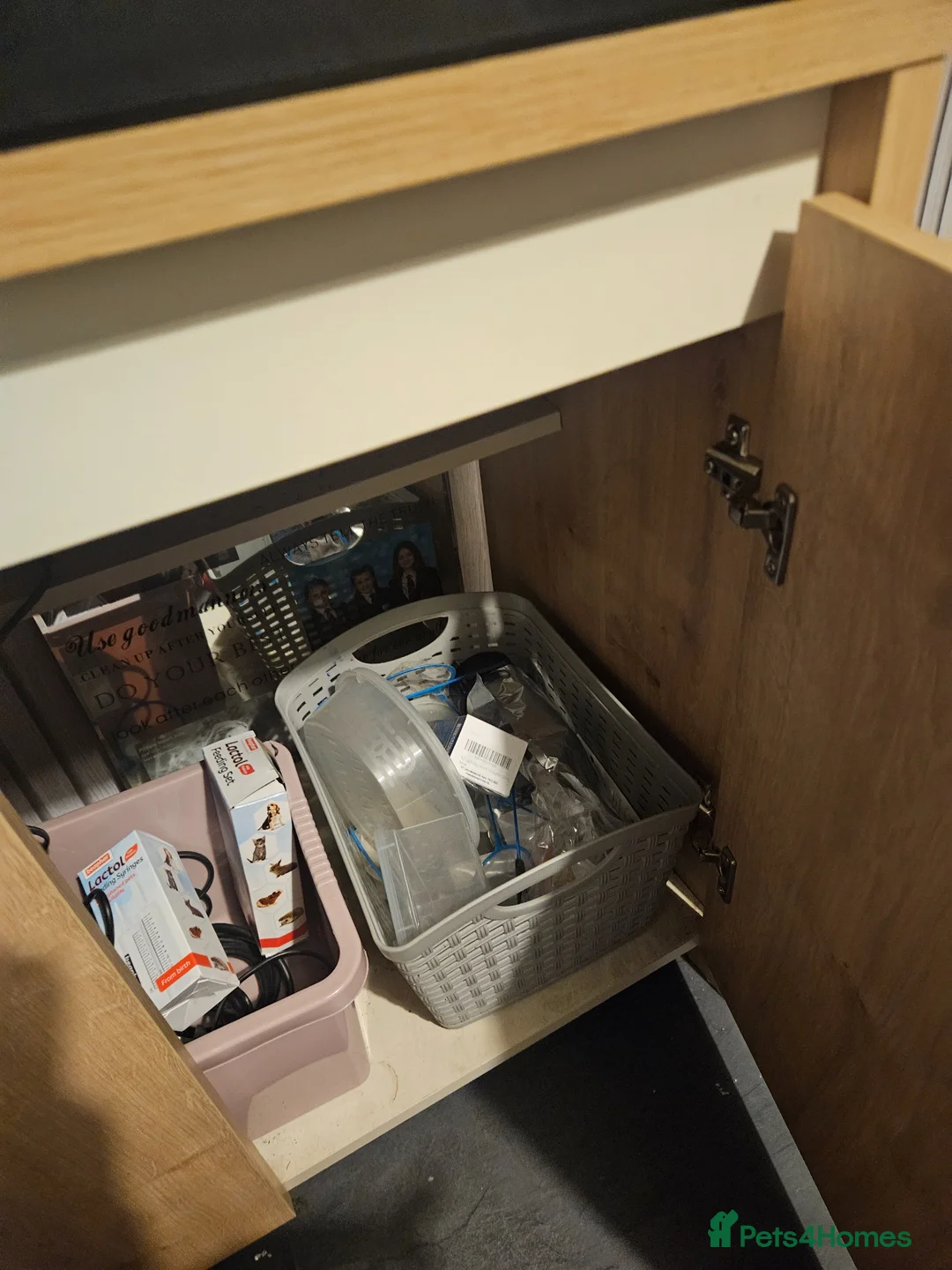 Other/Mixed Breed fish for sale: 2x axolotls  - Advert 4